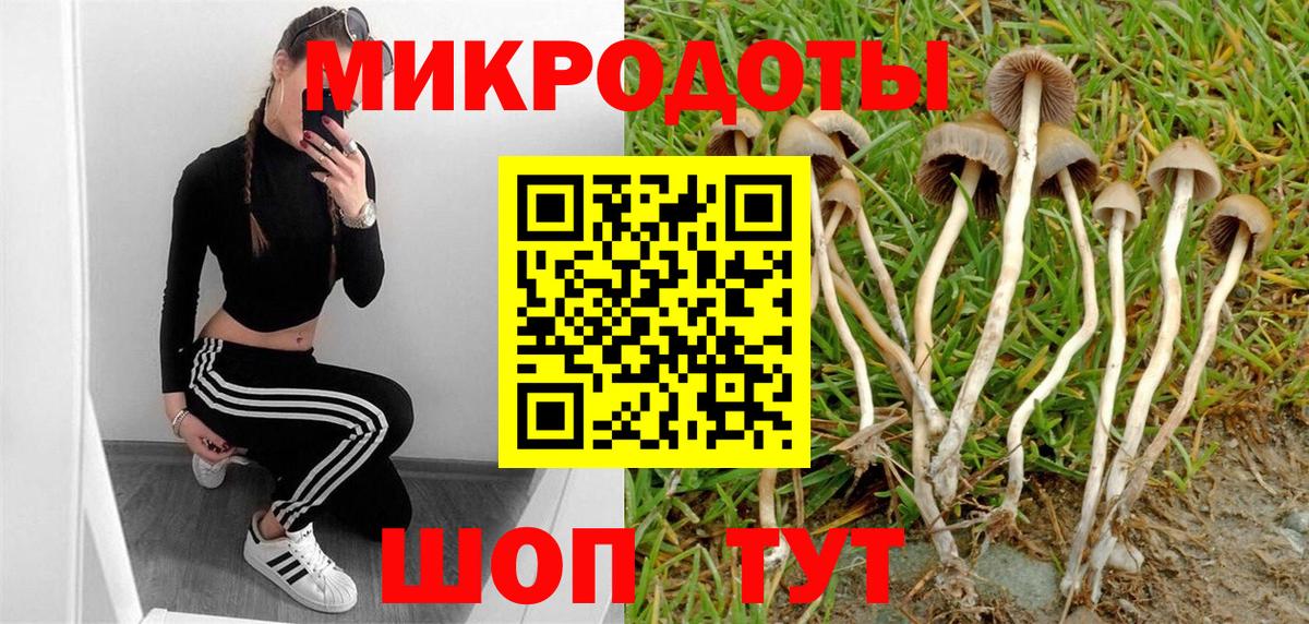 Галлюциногенные грибы MAGIC MUSHROOMS Сорочинск