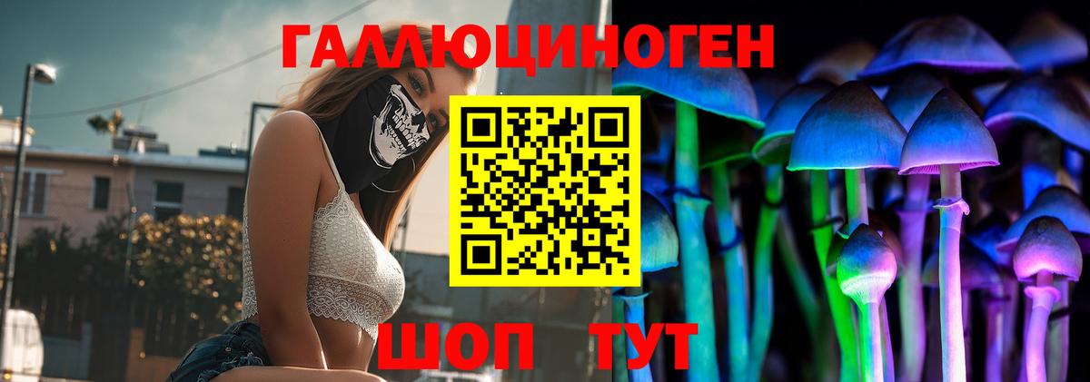 Сорочинск  Псилоцибиновые грибы ЛСД  Вход с VPN  Псилоцибиновые грибы Psilocybine cubensis 